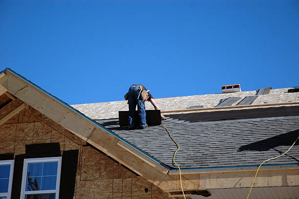 Best Roof Gutter Cleaning  in Ladson, SC